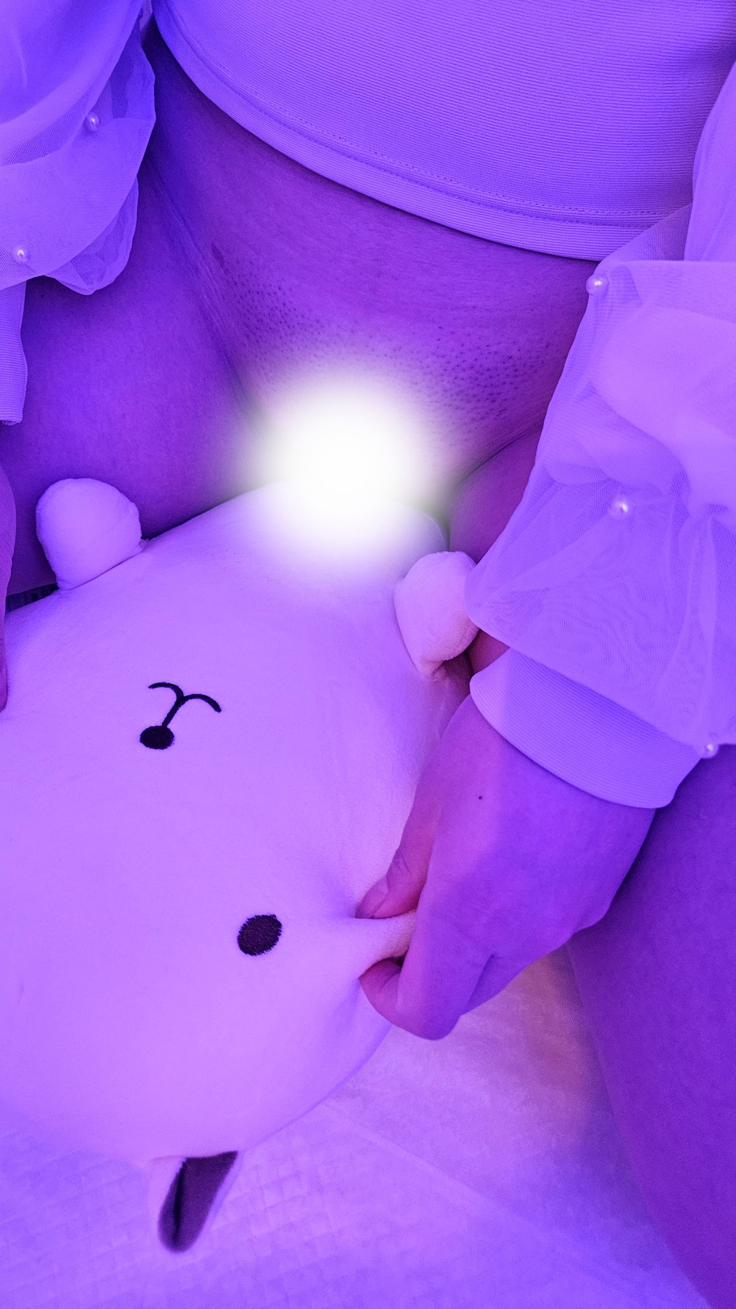 In a stuffed animal…?!