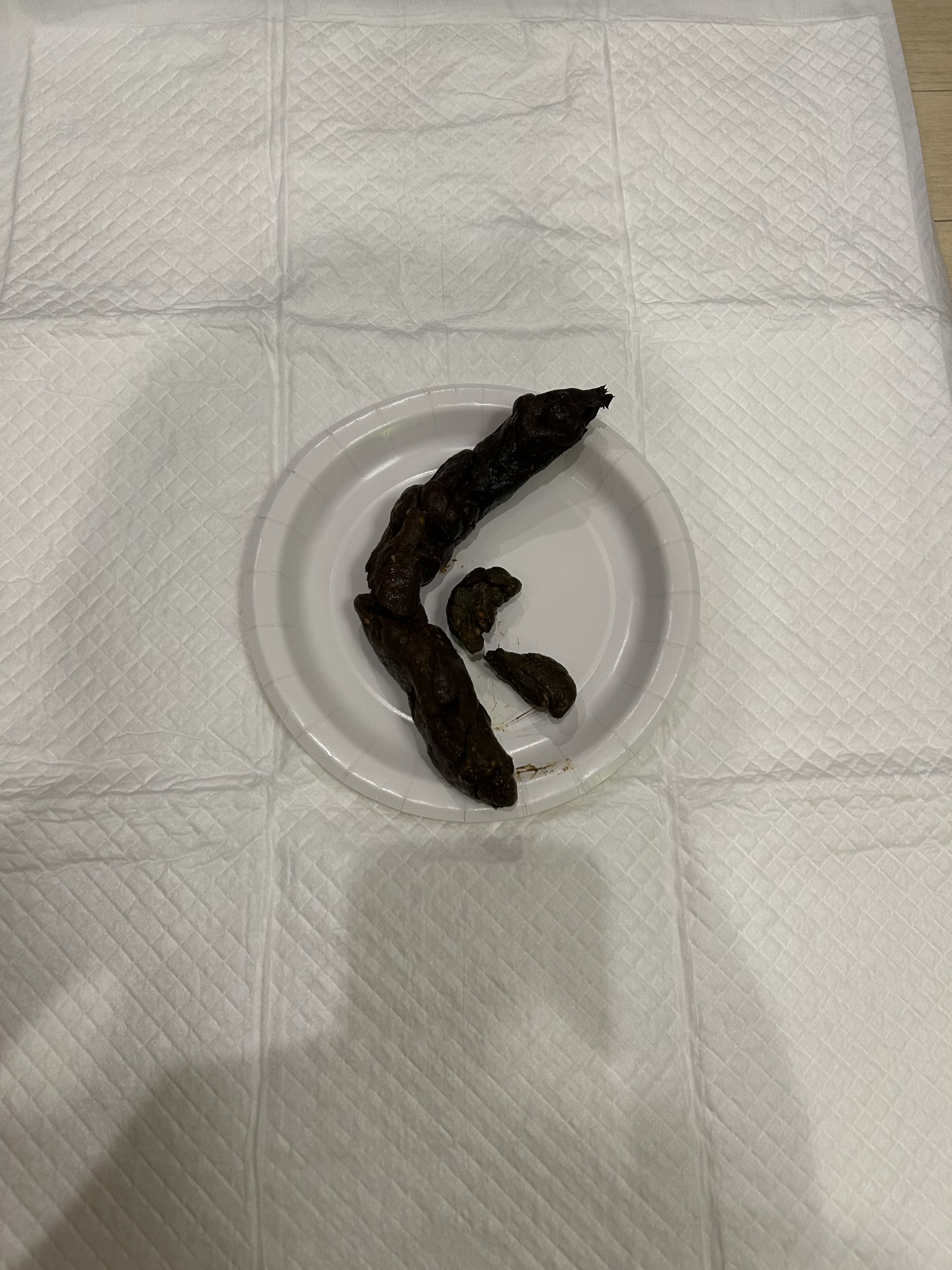 A Loooong One Appeared ( ˘꒳˘ )