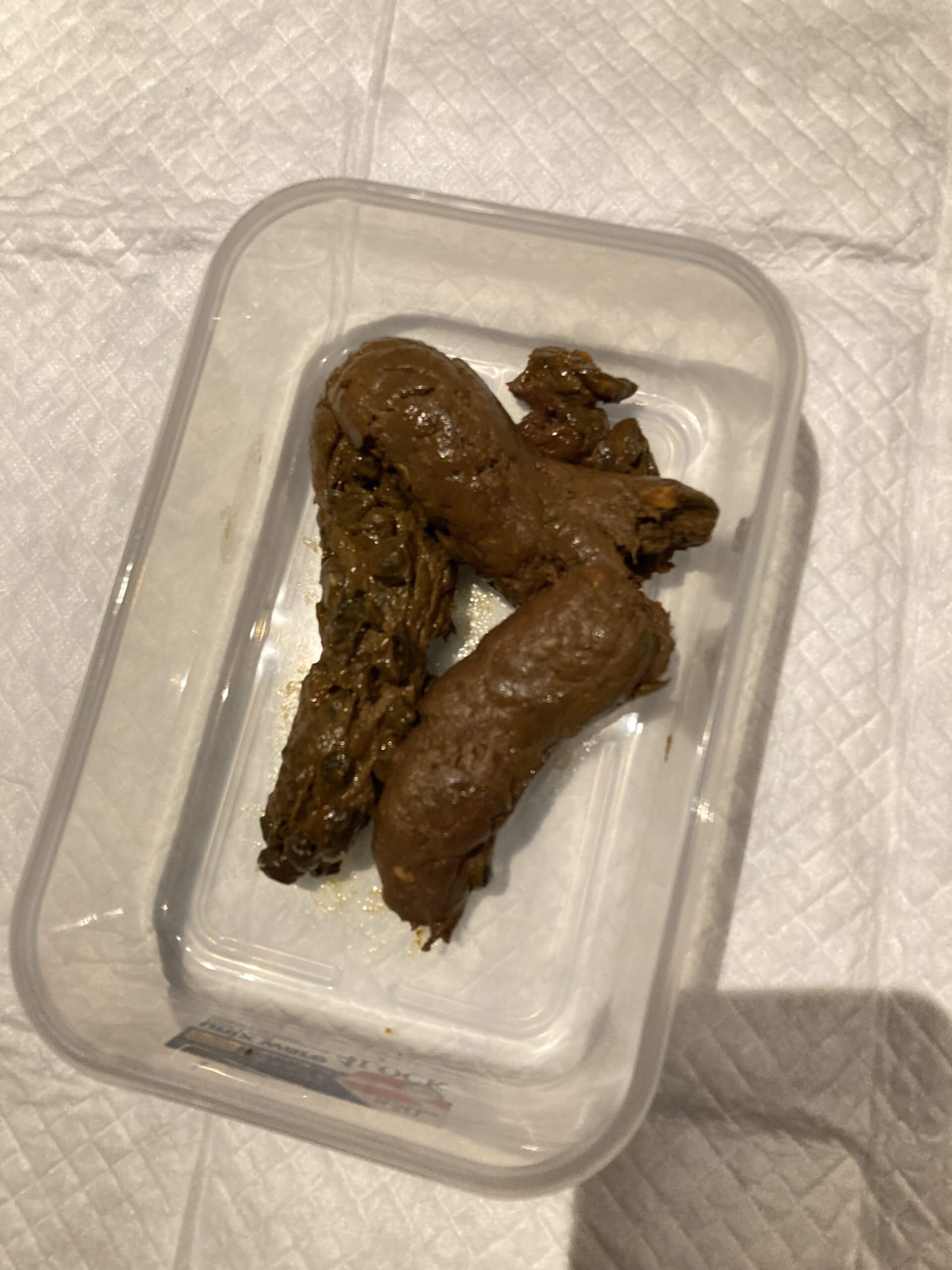 1/16 The Stool Palace 🤎