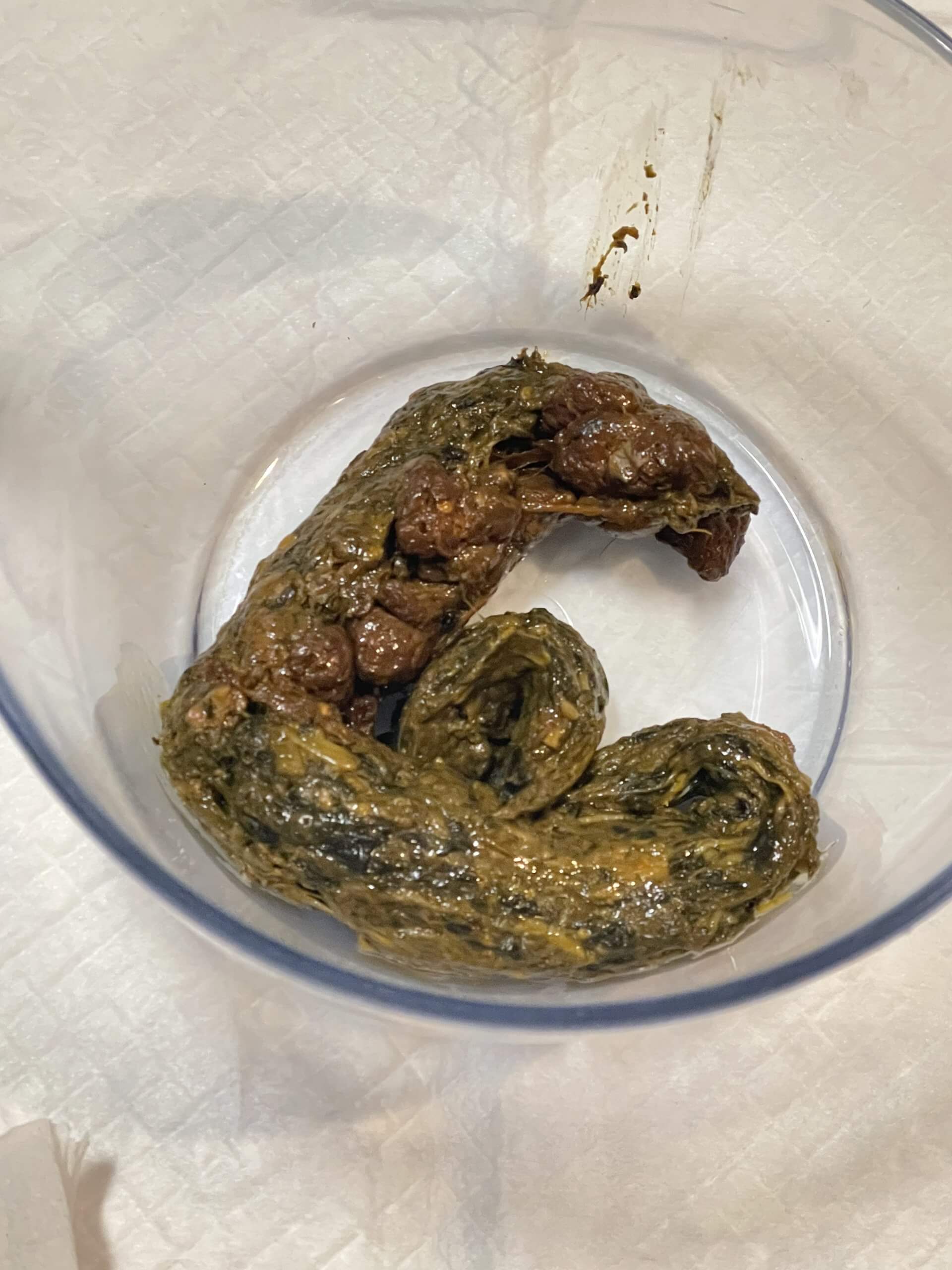 🦋‪We’ll meet often, won’t we? 🥰🦋