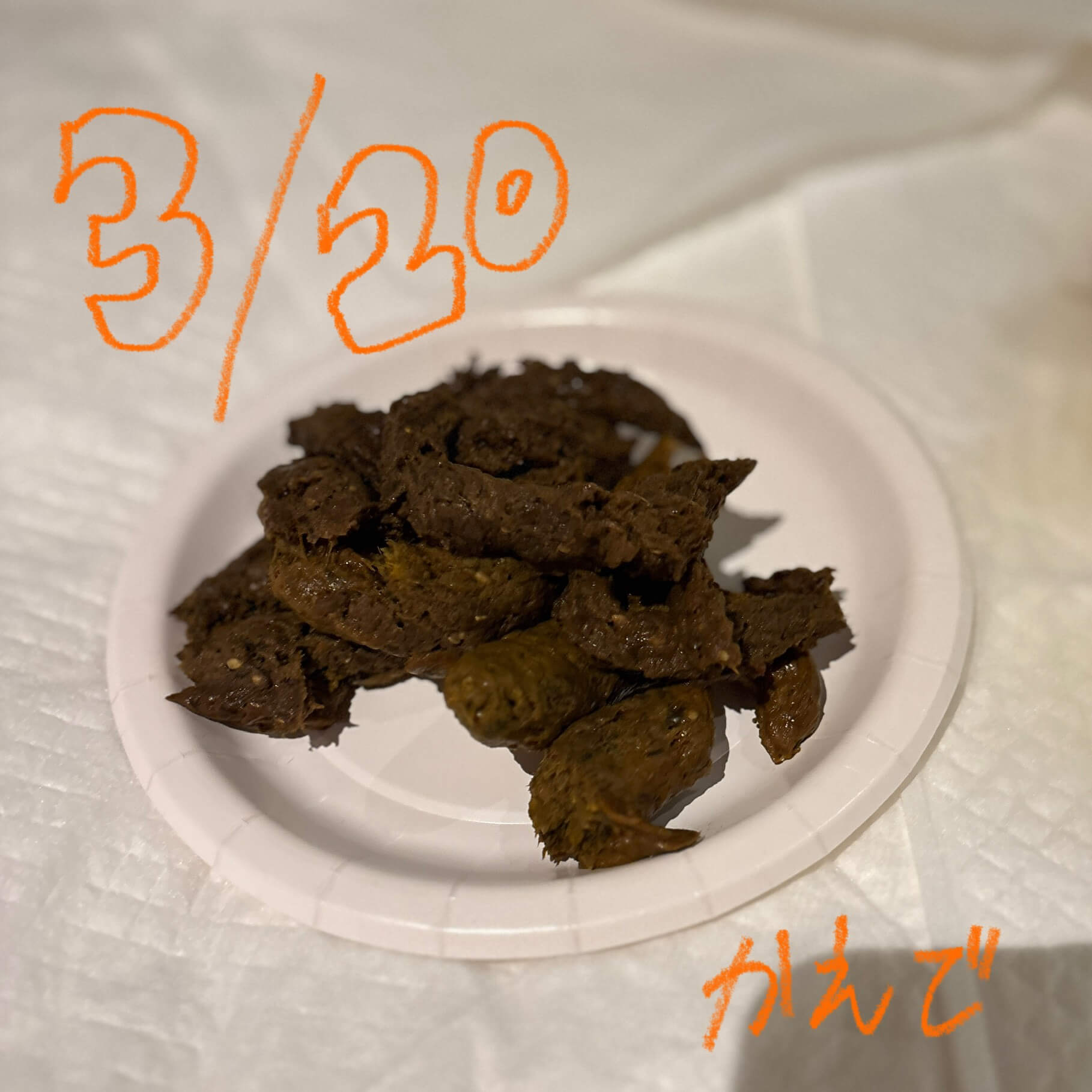 3/20 Paper Plate Poop 💩