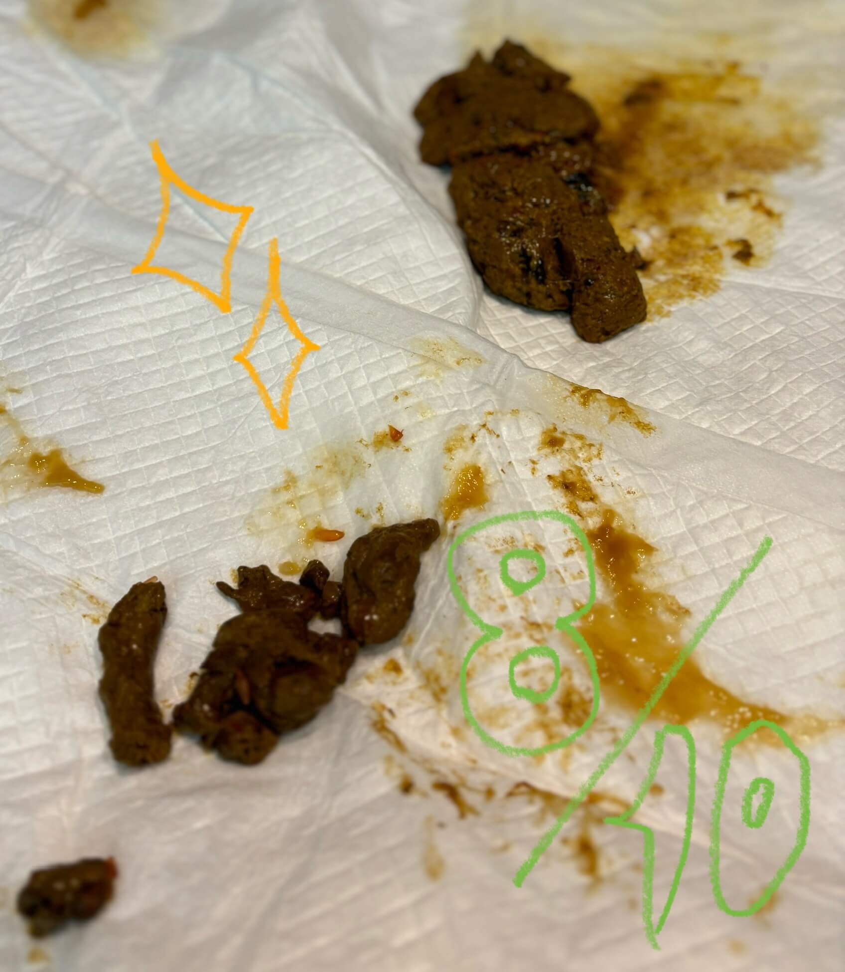 August 10th, the day I was looking forward to 🍁