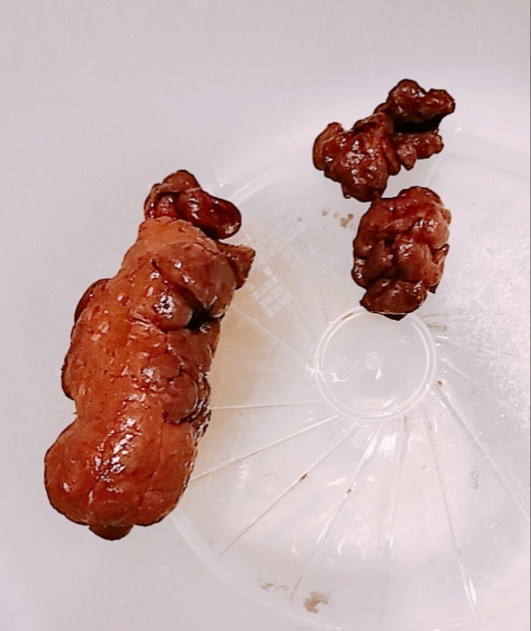 Pellets and One Log 💩