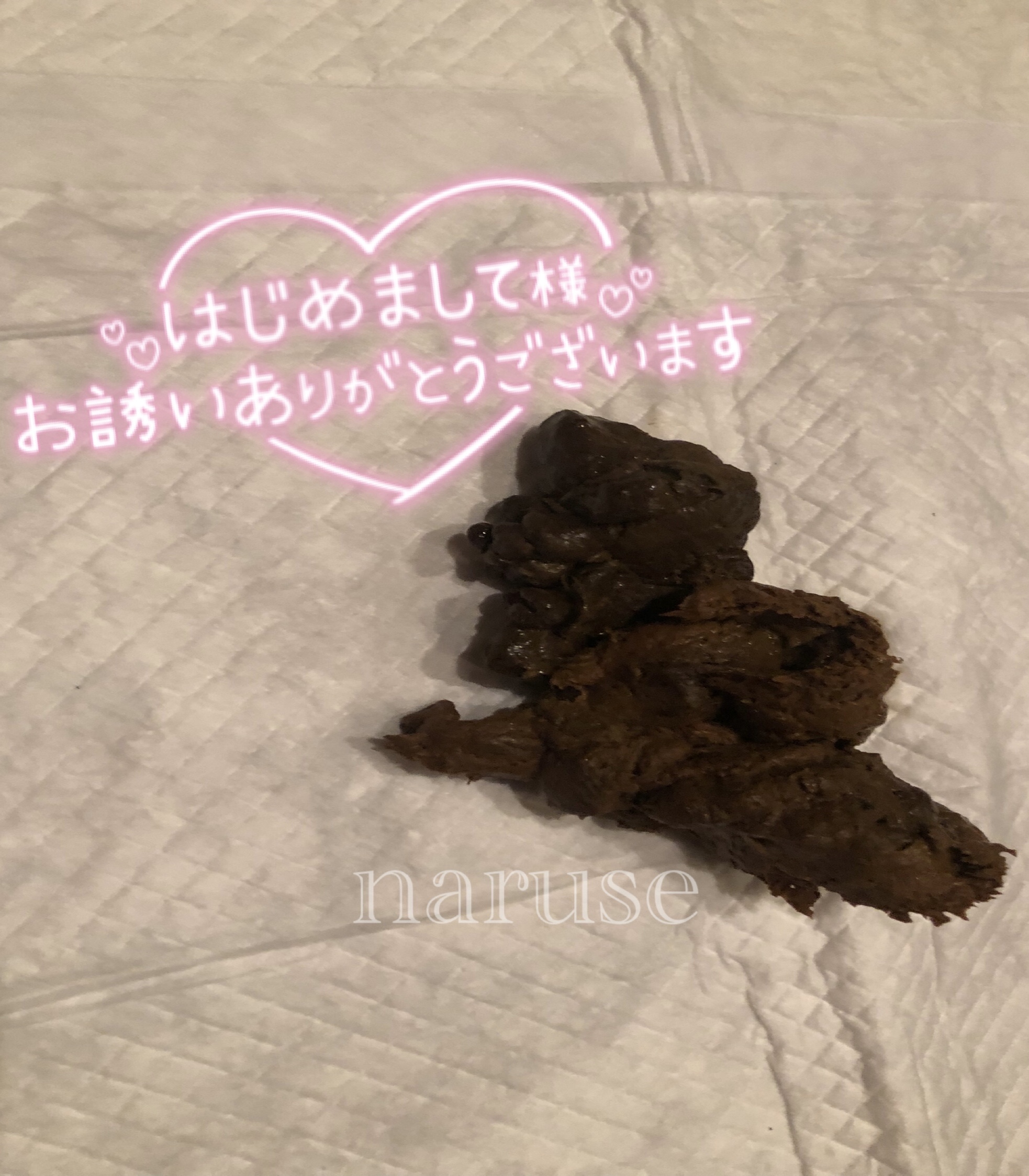 2/27 11:00～Spinning Poop♡ Nice to meet you, Y-kun