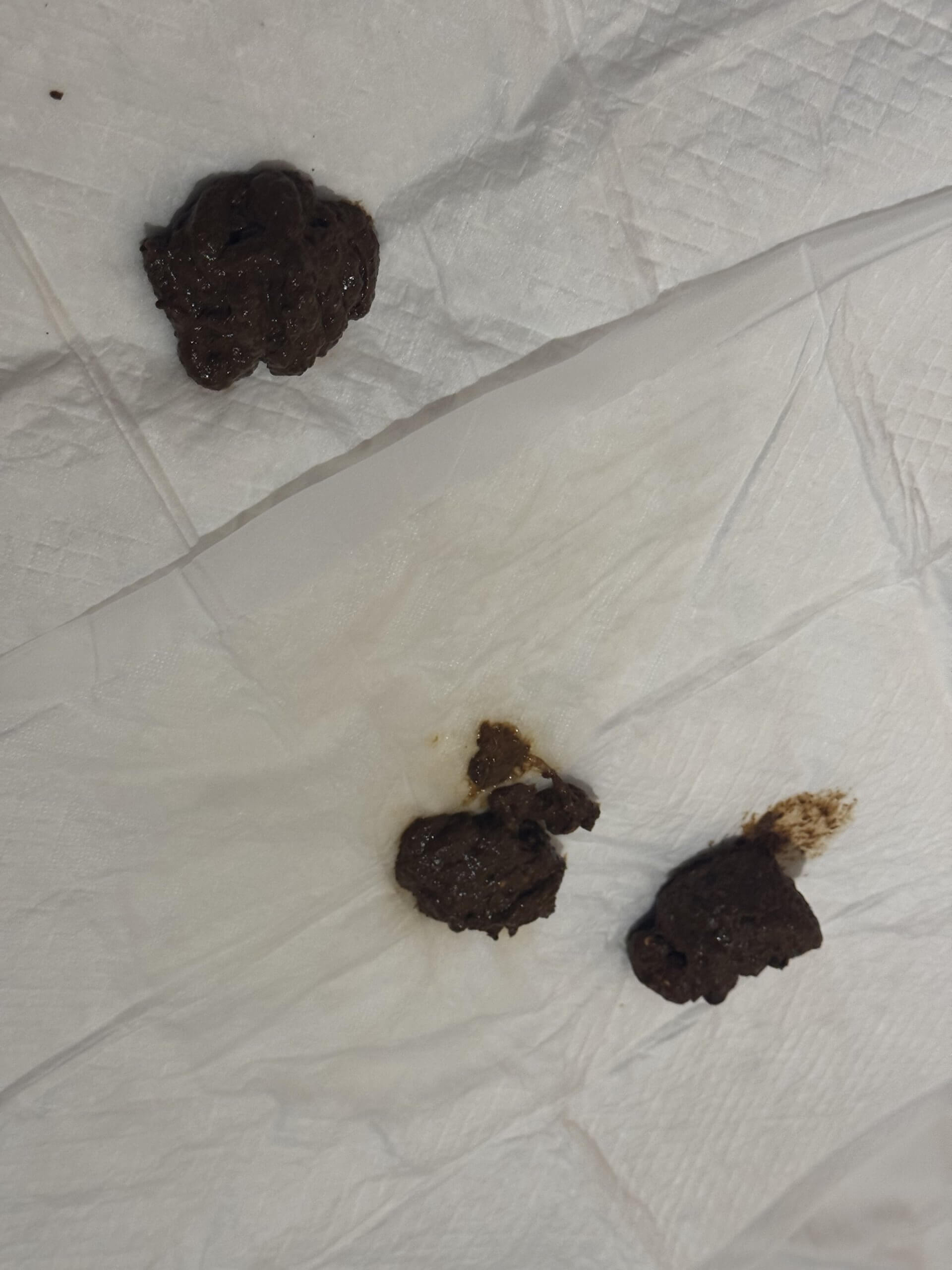 Long time no see! ♡