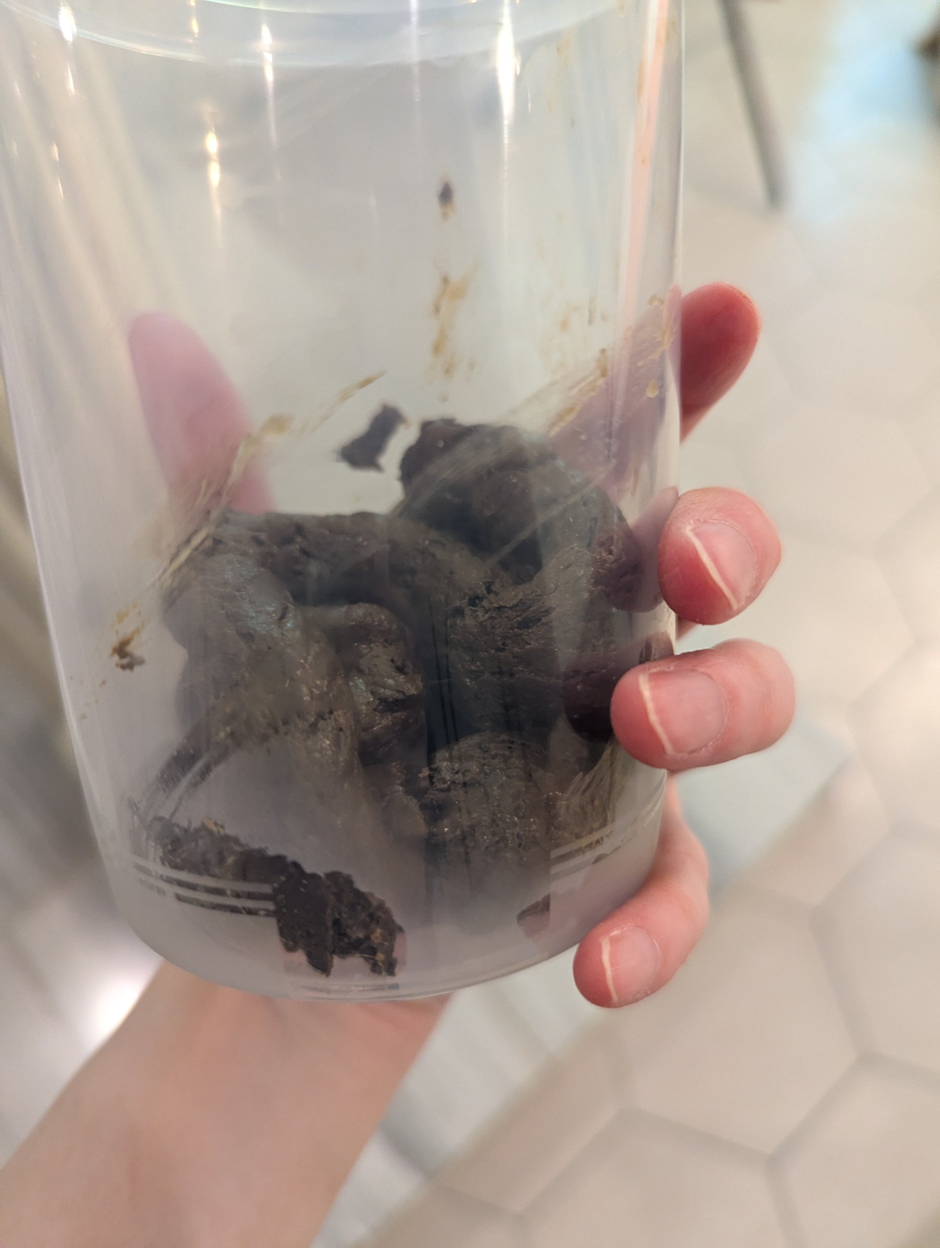 💕 Farts and Poop 💕