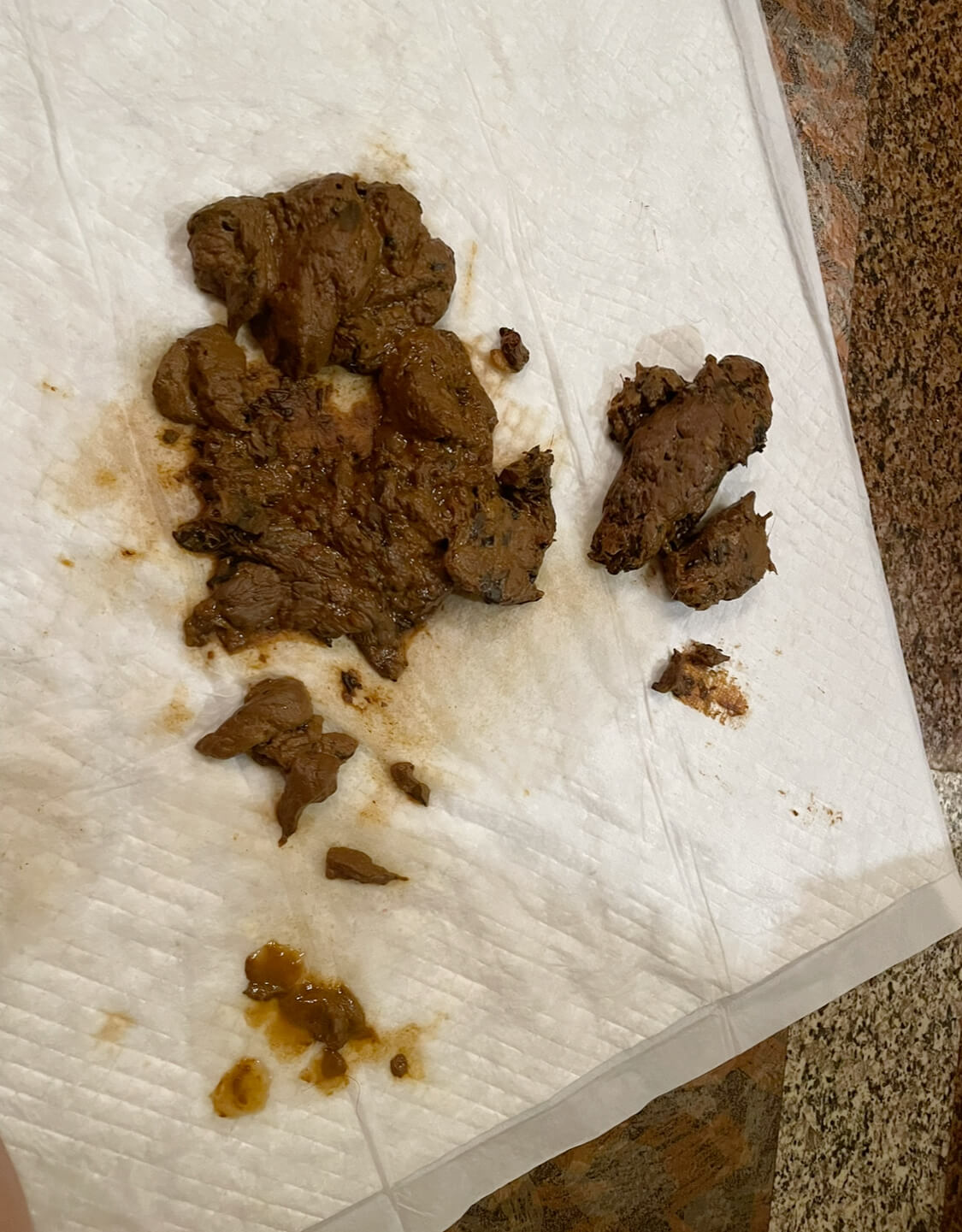 Maybe I can lick it next time!?!?!