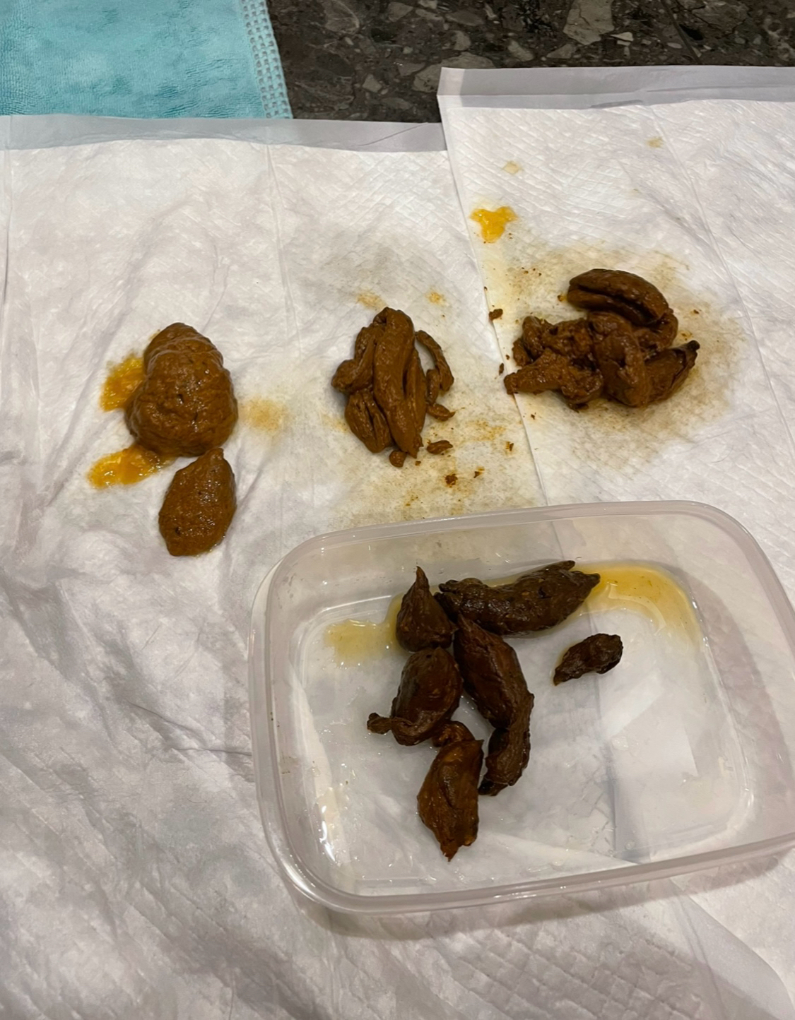 Full Course of Untreated ‘Okeke’ Poop 💩✨