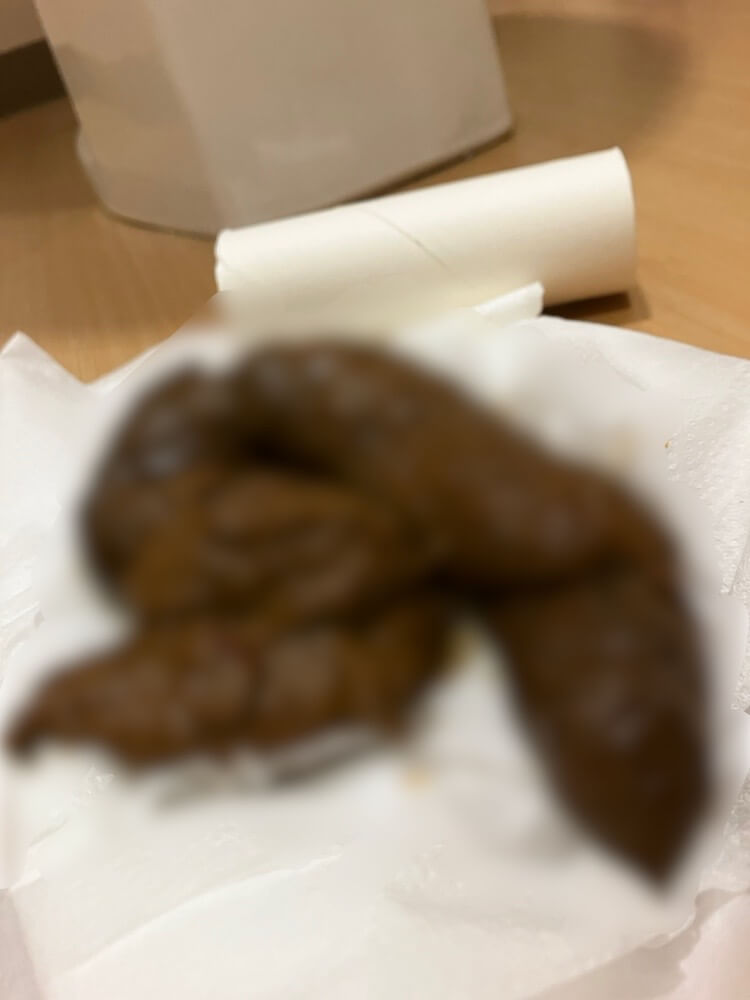 【動画あり】しっぽうんち💩💩