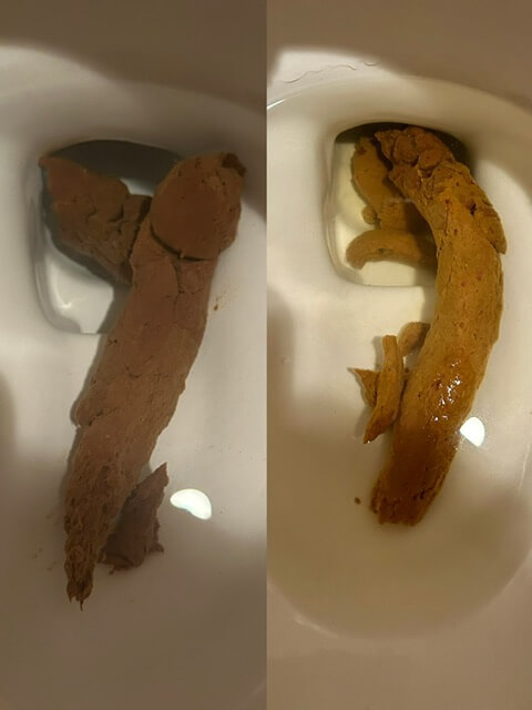 見てほしい安定感💩