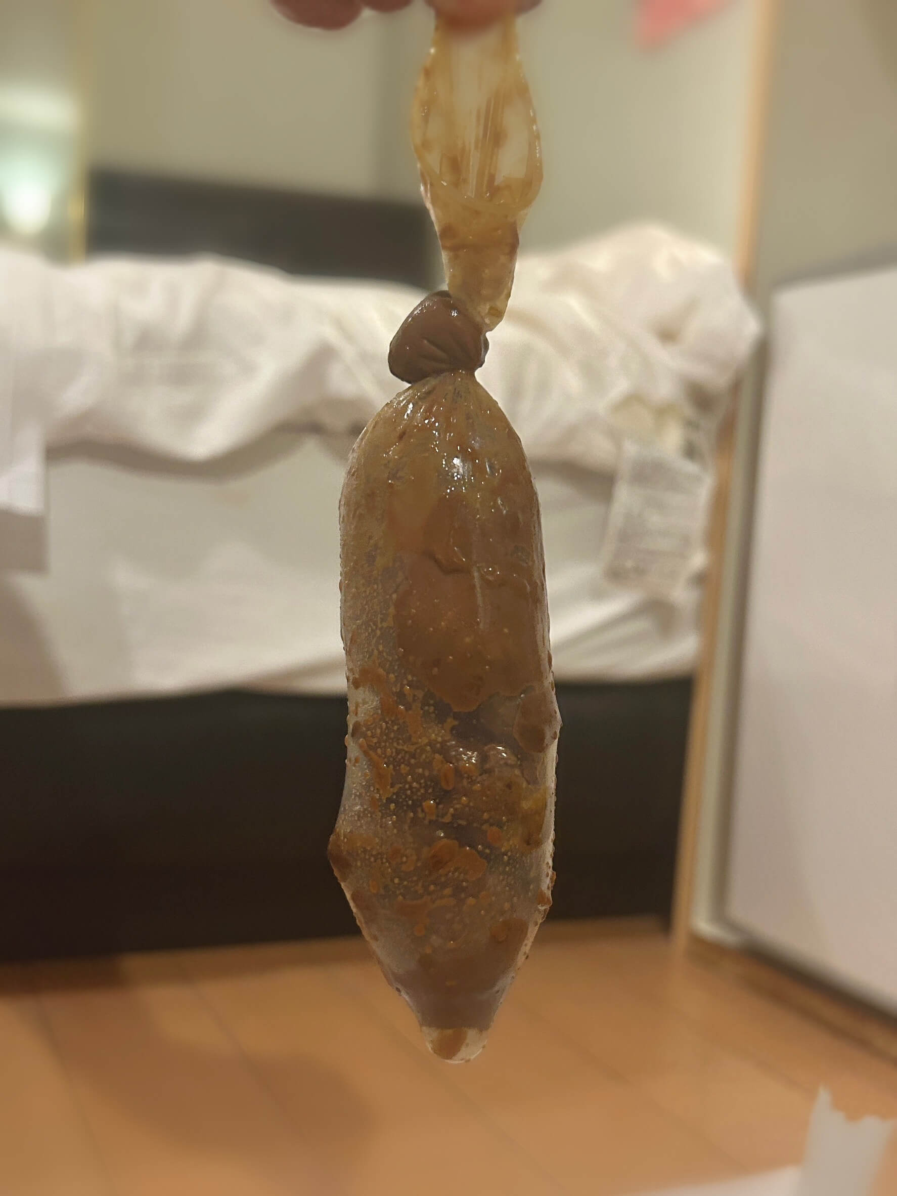 うんちの腸詰め？(なにかがおかしい)