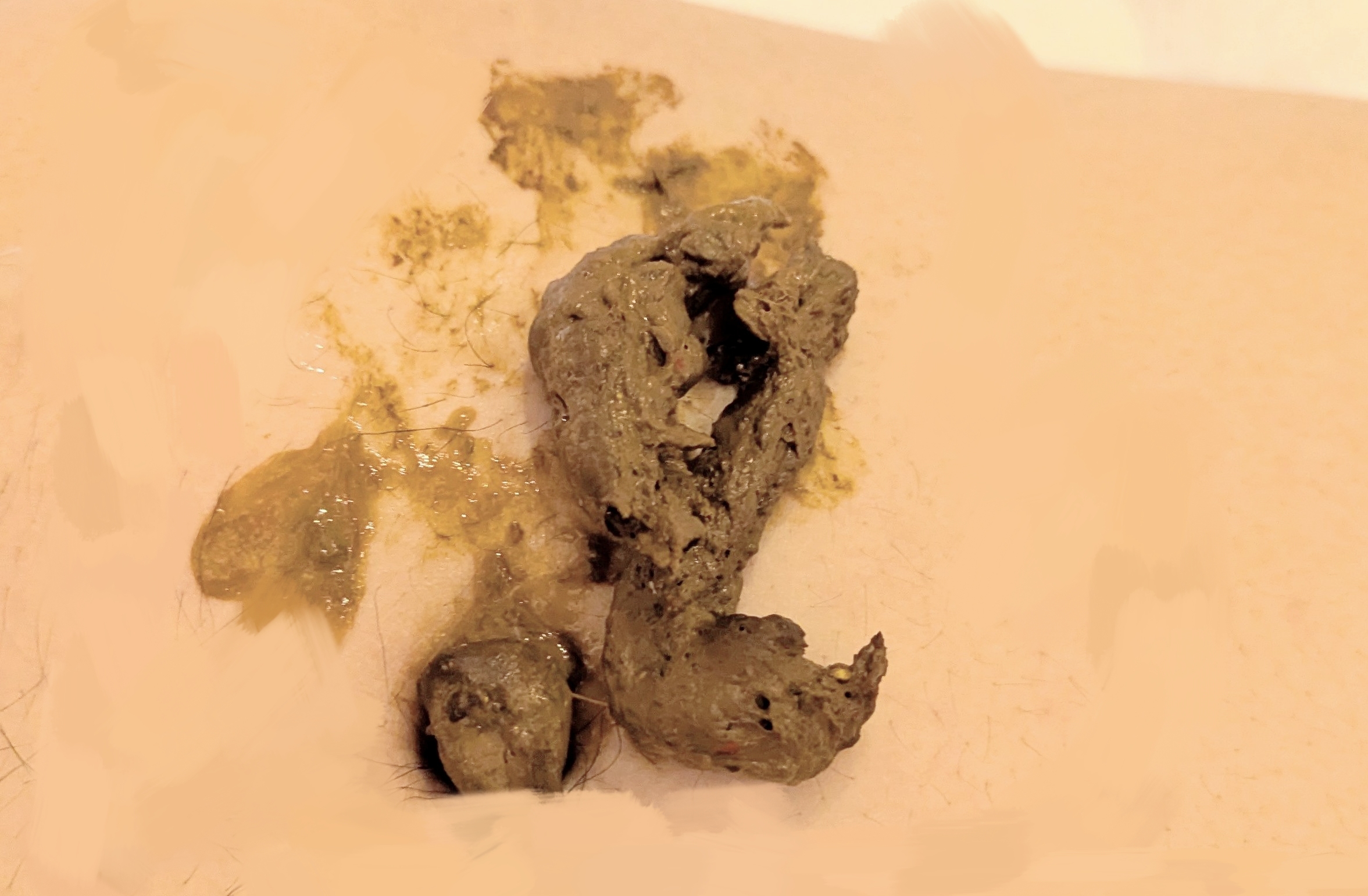 🩷お口に詰め詰め🩷