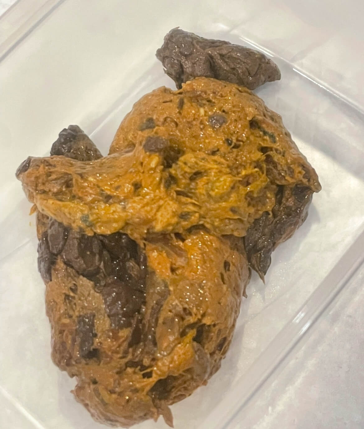 🦋‪Holidays start with Sayo’s poop,, 💕🦋‪ | Scatology Tokyo｜The most ...