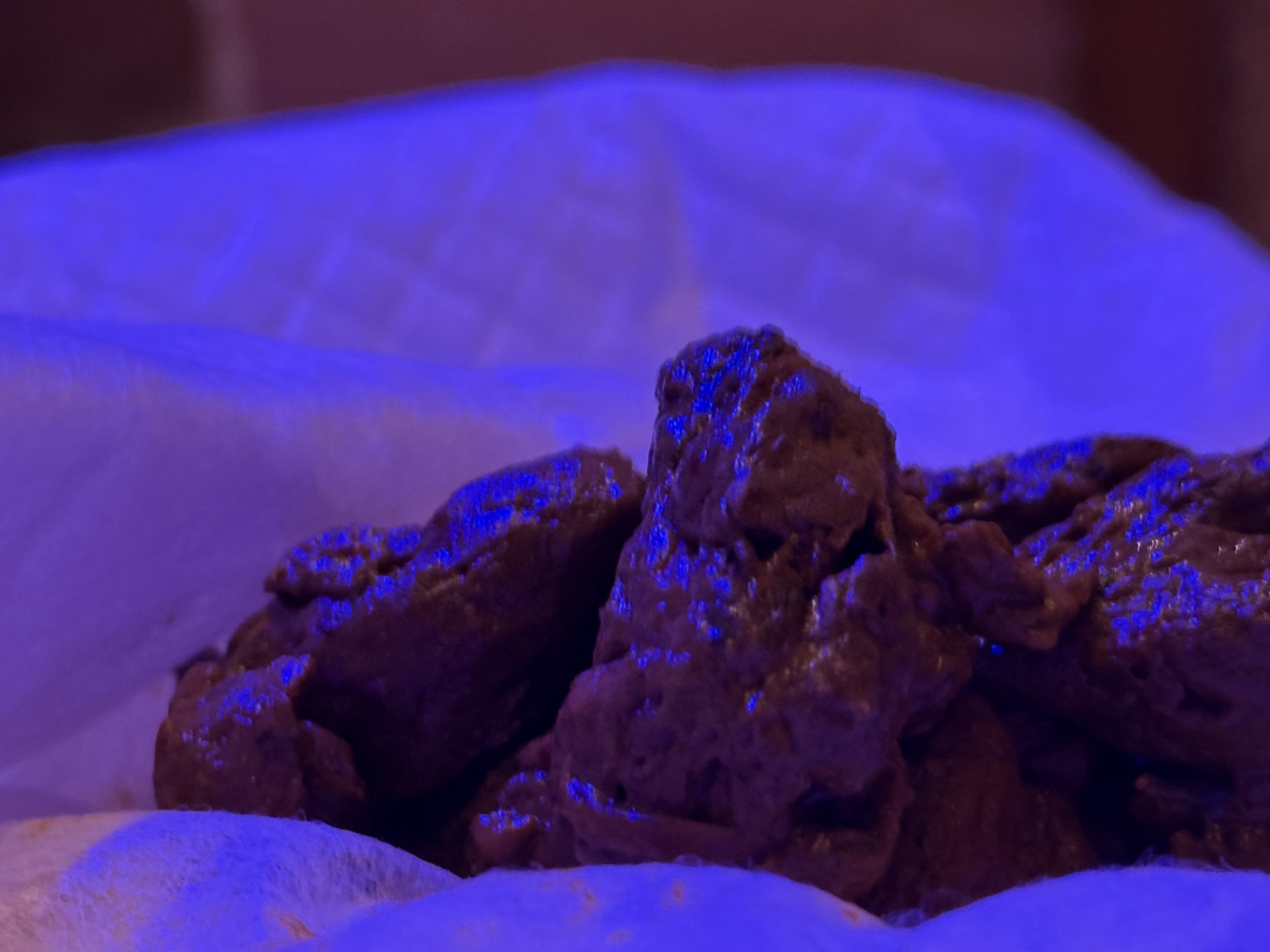 どきどき2回目出勤！みか