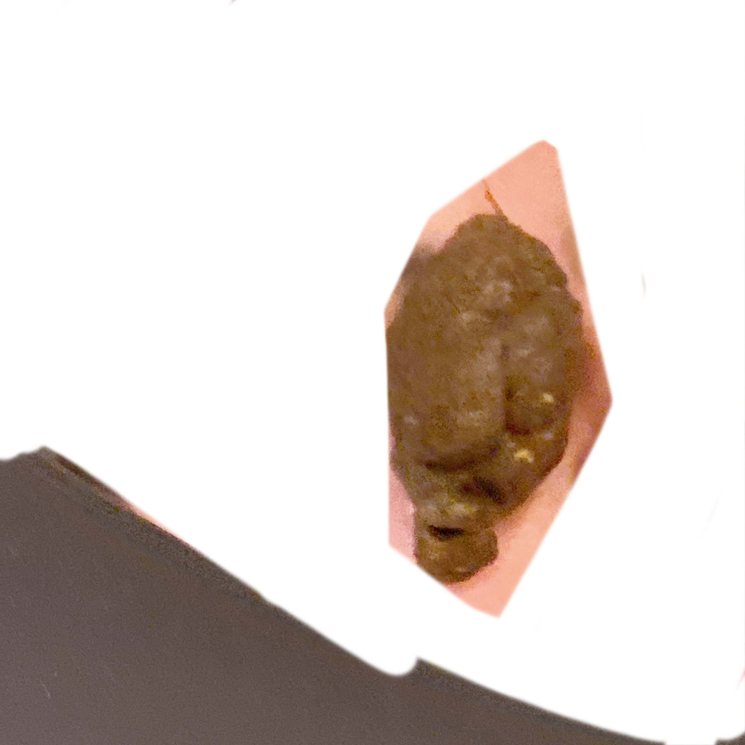 うんちすっきり🎶