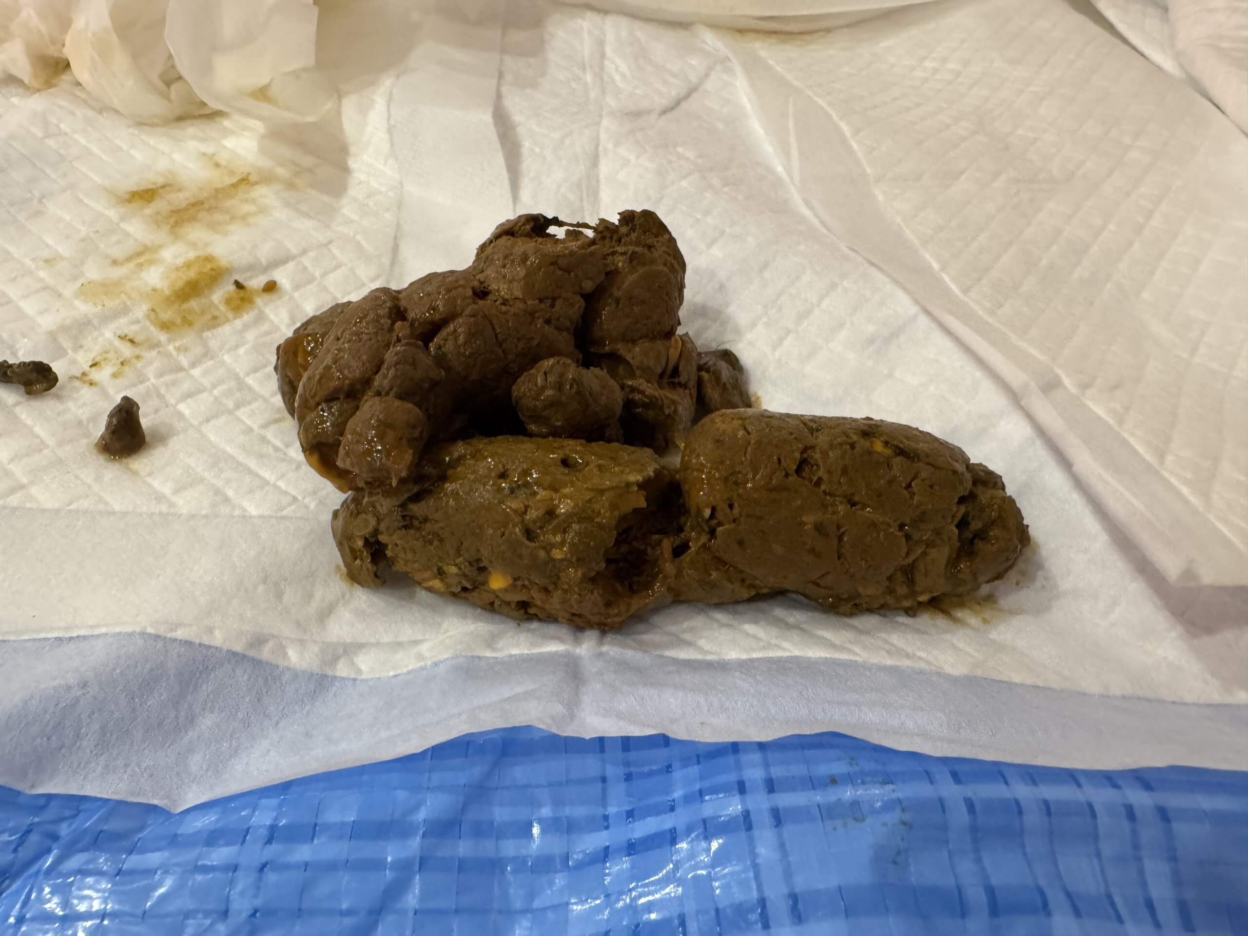 無限にう○ちがでちゃいました、、、🥹